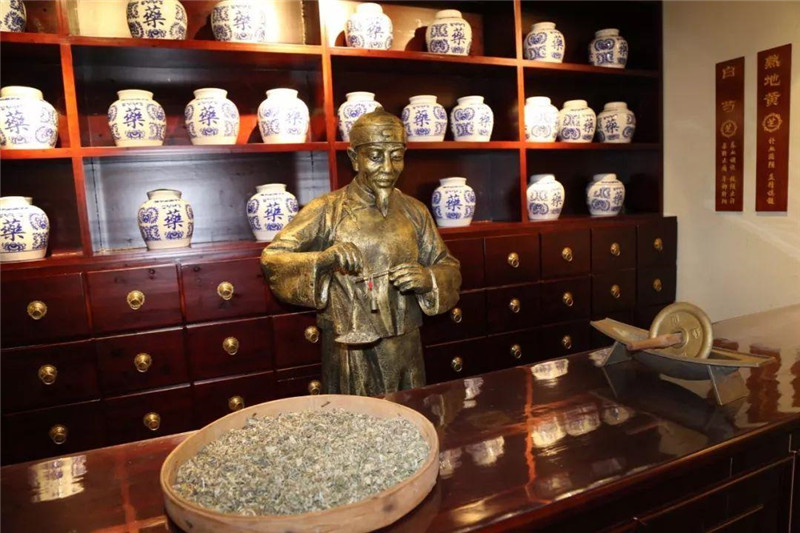 中医药文化馆设计，中药医学传承千年将持续开放鲜丽