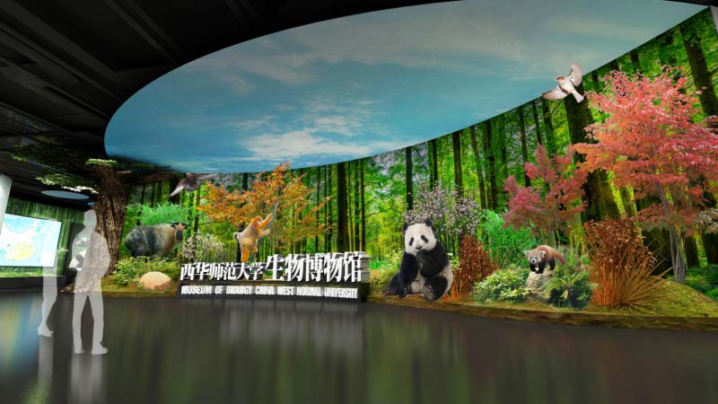 西华师范大学博物馆项目：JDB电子财神捕鱼建设文博一体化服务标杆