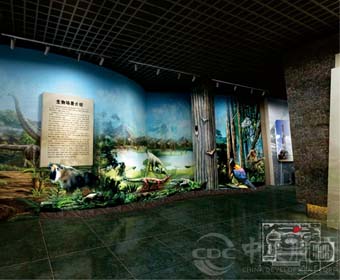 博物馆设计施工企业应该具备什么资质，客户该若何选择？