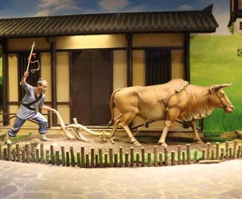 农耕博物馆设计，中原农耕文化博物馆是怎么策动的？